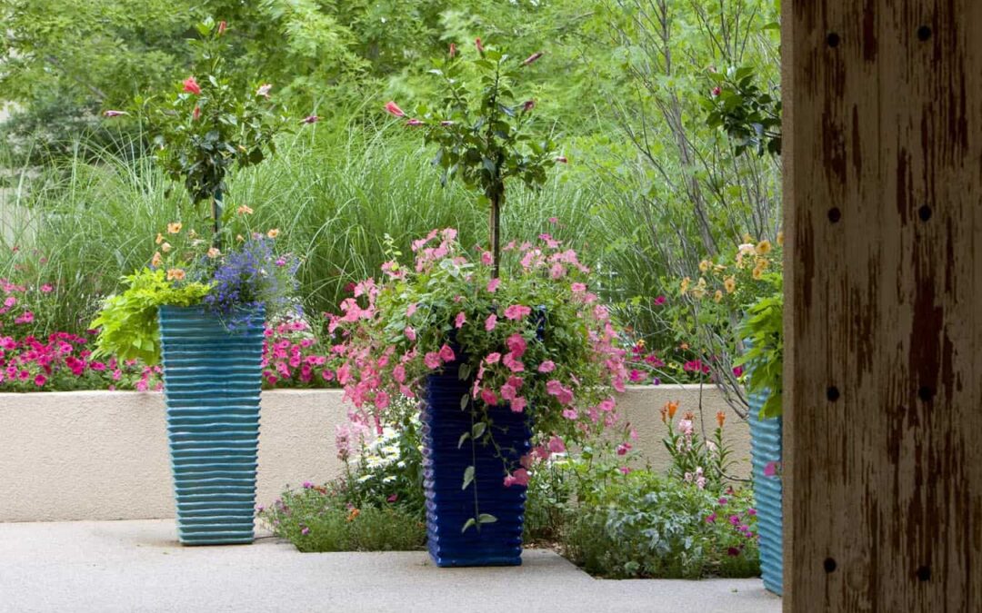 Flower Pots on Patios