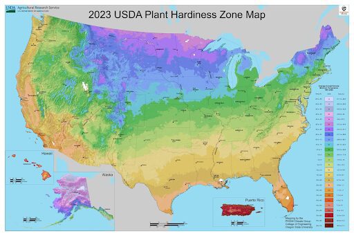 The New Plant Hardiness Zone Map - 2023 Plant Hardiness Zone Map