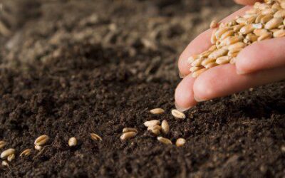 5 Gardening Tips to get ready for Spring