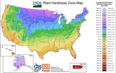 USDA Plant Hardiness Zone Map: A Guide for Colorado Landscaping