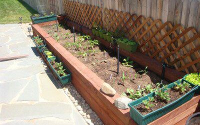 A Healthy Garden for a Healthy Lifestyle