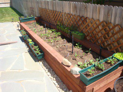 A Healthy Garden for a Healthy Lifestyle