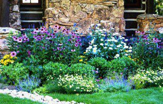 Blog Featured – Water-Efficient Landscape Tips