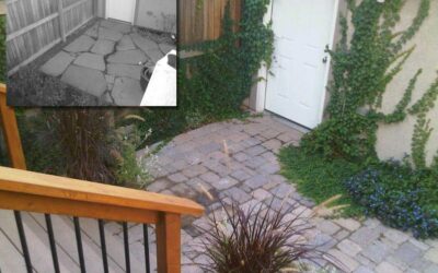 Transform a Small Space into a Landscaped Gem