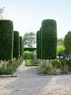 manicured-trees-garden-design-0612-mdn