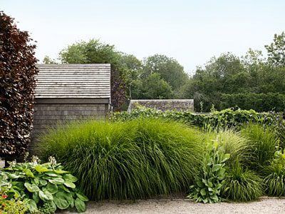 tall-grasses-garden-design-0612-mdn