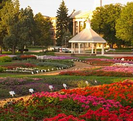Colorado State’s Annual Flower Trail Garden