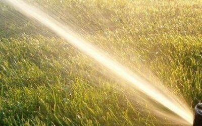 Never Water when it’s Windy