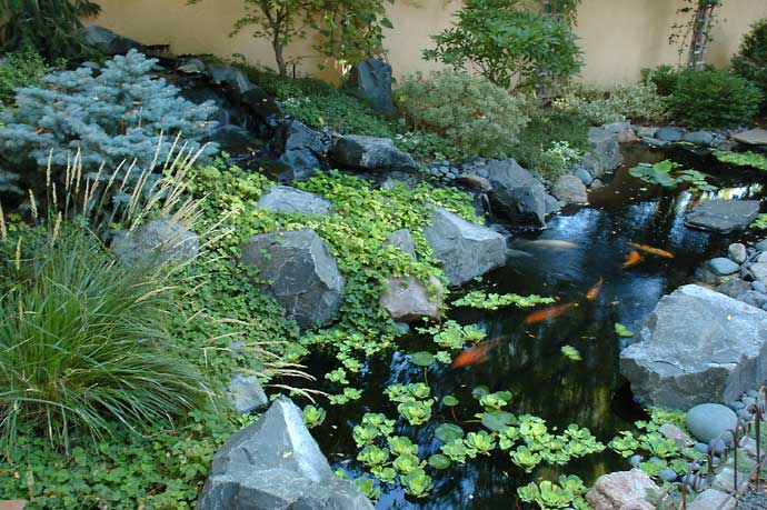 Natural Water Features for a Naturalistic Landscape