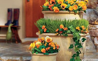 Get Brilliant Fall Color with Container Plants