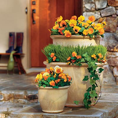 stacked containers orange pansies