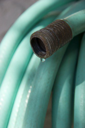 Great Tips for Winter Watering