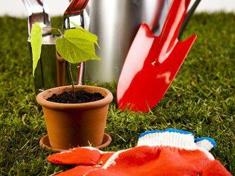 Great Gifts for the Garden