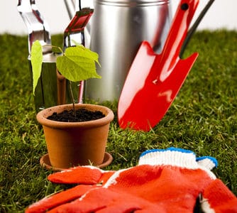 Great Gifts for the Garden