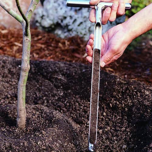 Don’t forget these Winter Lawn Care Tips