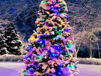 Happy Holidays from Lifescape