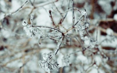 Winter Hardscape Maintenance Tips
