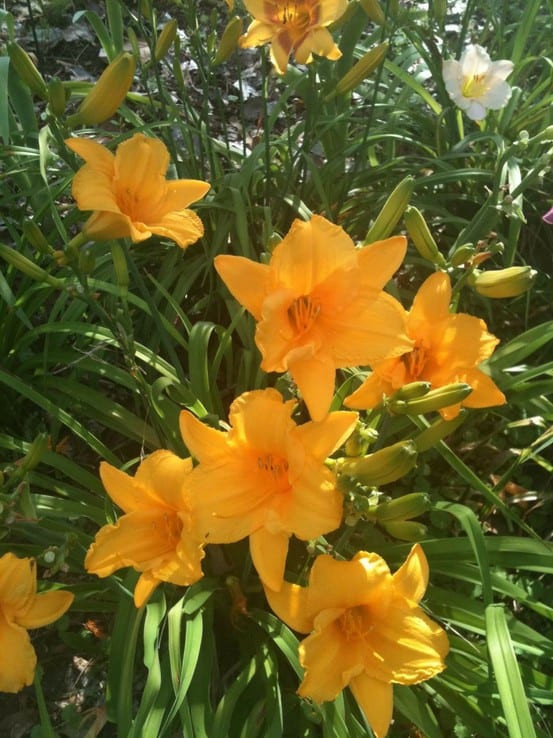 hero sec (1) about hero