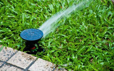 Sustainable Practices for Colorado Lawn Care