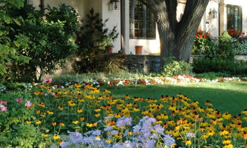 Garden Trends to Consider for 2013