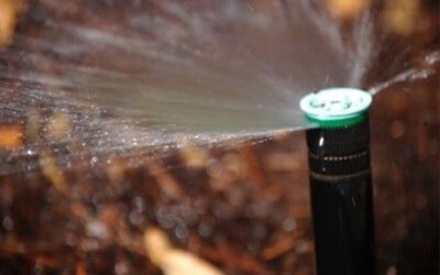 It’s Time to Schedule Spring Irrigation Turn-Ons