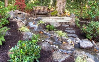Early Spring Maintenance Tips for Denver Landscapes