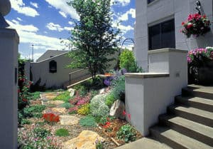 water wise landscaping