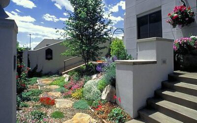 Water Conservation Tips as the Colorado Drought Continues