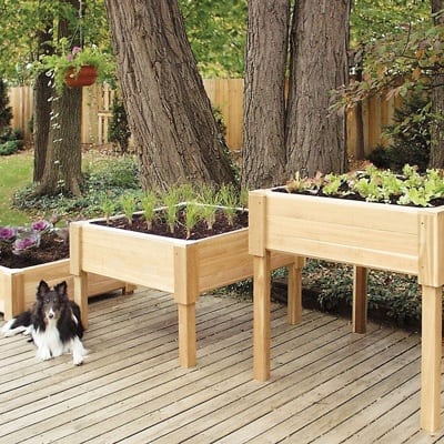 freestanding raised beds