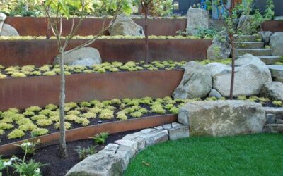Landscape Design Solutions for Colorado: Terraces