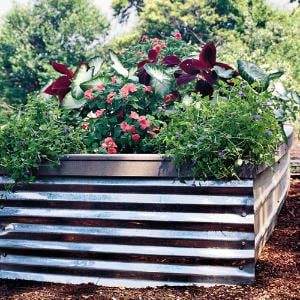 raised bed ideas