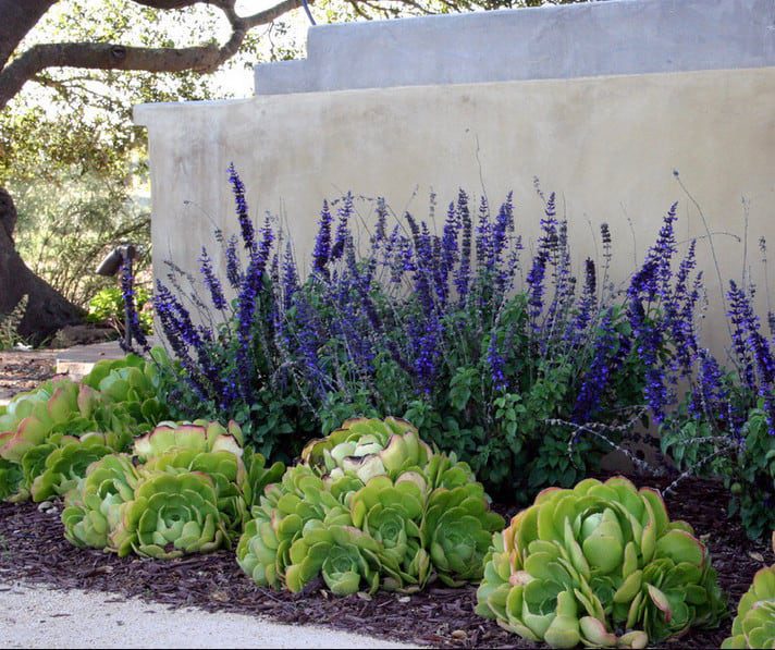 denver landscape design