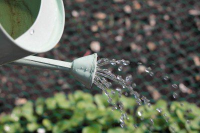 denver water restrictions 