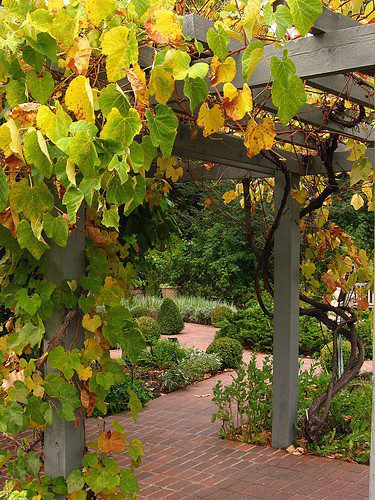 denver botanic gardens