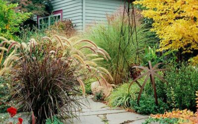 Adding Color to Artful Gardens