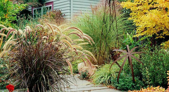 Adding Color to Artful Gardens