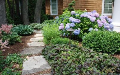 Landscaping for Curb Appeal
