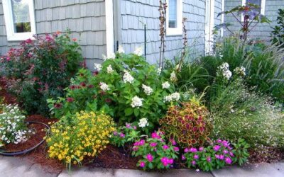 Refresh Your Front Yard Landscape This Fall