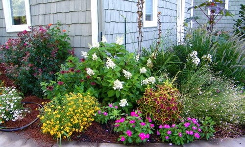 Refresh Your Front Yard Landscape