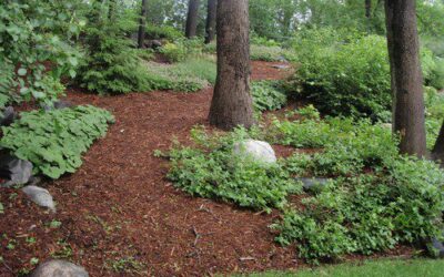Tips for Maintaining a Landscape