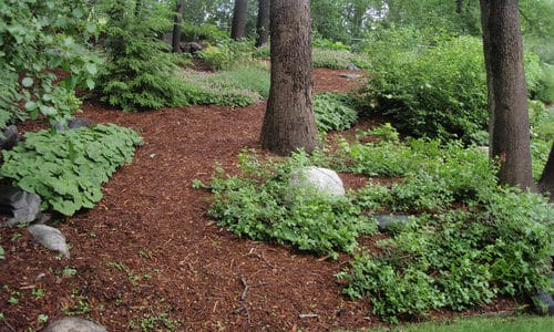 Tips for Maintaining a Landscape