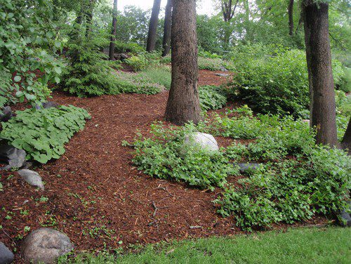 Tips for Maintaining a Landscape