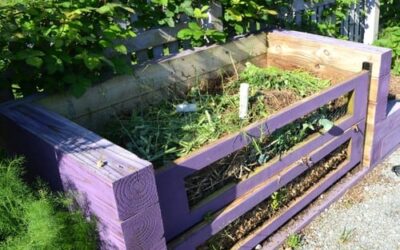 Autumn Transition – What to Do for Your Colorado Landscape