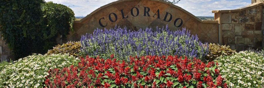 Project Spotlight: Colorado Golf Club
