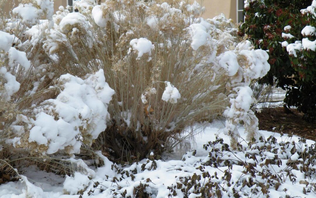 The Importance of Snow Removal