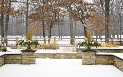 A Colorado Gardener’s December Checklist