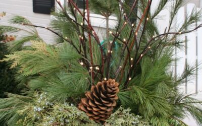 Add Holiday Cheer to Winter Container Gardens