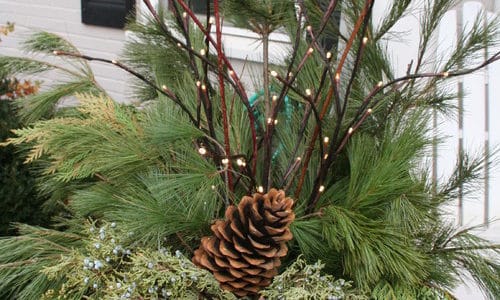 Add Holiday Cheer to Winter Container Gardens