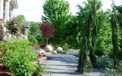 5 Harmonious Hardscaping Ideas
