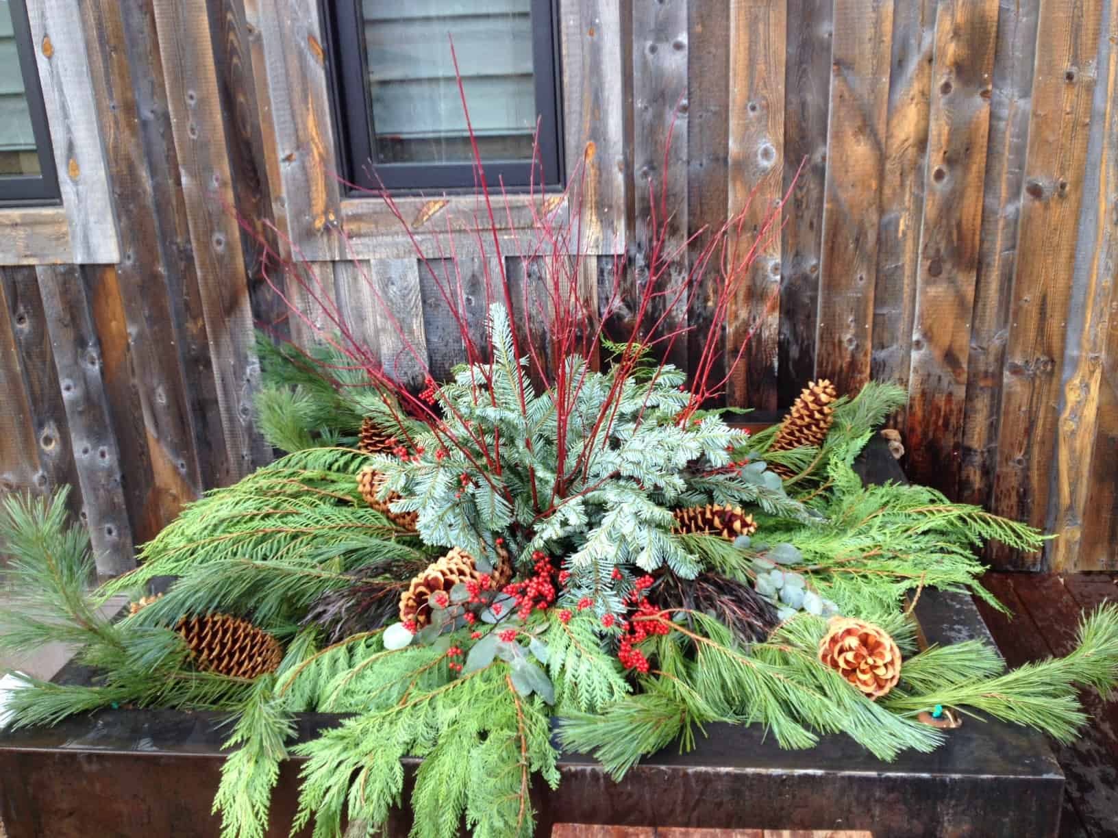 Outdoor Winter Container Garden Ideas and Inspiration